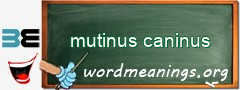 WordMeaning blackboard for mutinus caninus